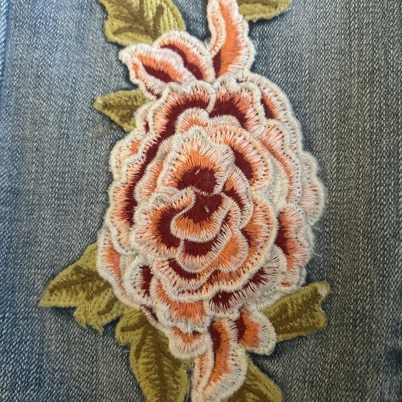 Ana Embroidered Jegging Jeans - Picture 2 of 3